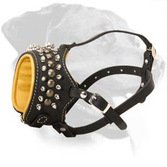 Leather Canine Muzzle with Gorgeous Spikes and Studs