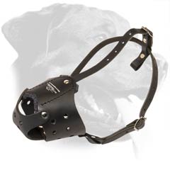 Everyday soft leather muzzle