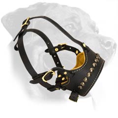 Safe Leather Muzzle