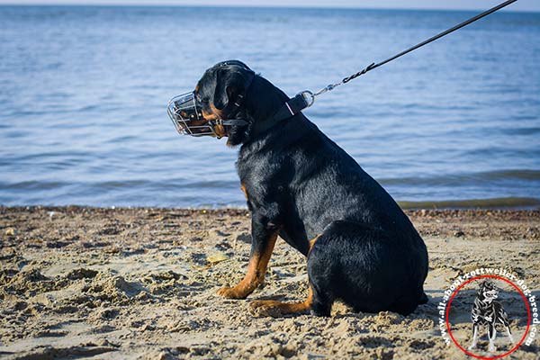 Strong wire dog muzzle for Rottweiler