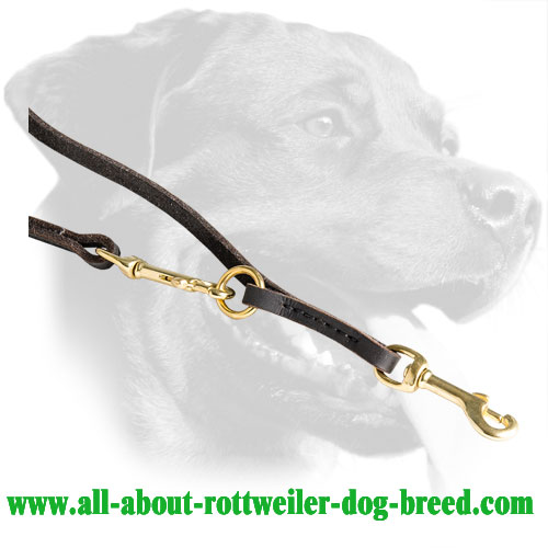 Brass Snap Hooks and Rings of Leather Rottweiler Leash