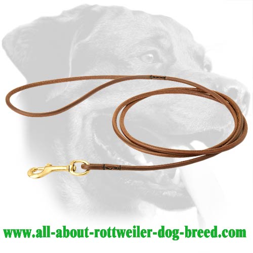 Tearproof Rottweiler Leather Leash