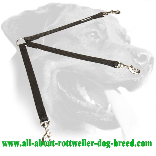 Nylon Rottweiler Coupler Equipped with Nickel Snap Hooks