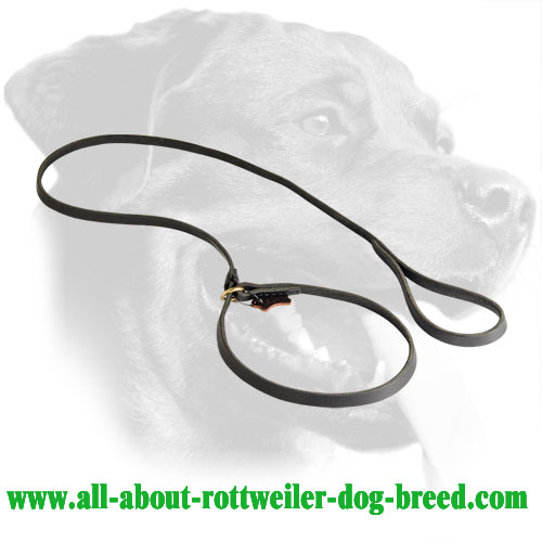Behavior Correction Leather Rottweiler Leash