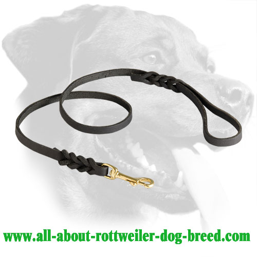 Leather Rottweiler Leash with Braided Decorations