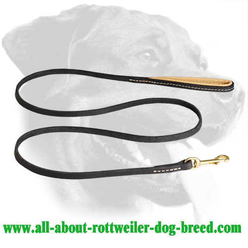 Leather Rottweiler Leash with Braided Decorations