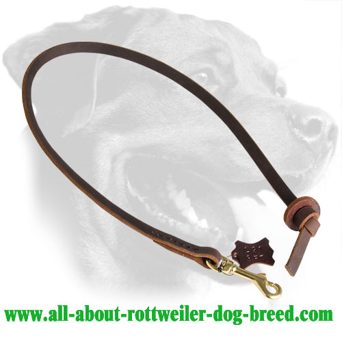 Rottweiler Leash Made of Leather with Brass Snap Hook