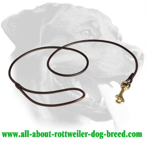 Rottweiler Leash Made of Leather with Brass Snap Hook