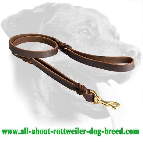 Leather Rottweiler Leash Equipped with Brass Snaphook