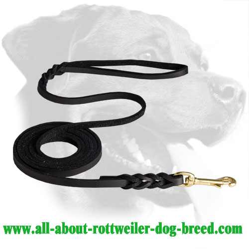 Leather Rottweiler Leash Equipped with Brass Snaphook