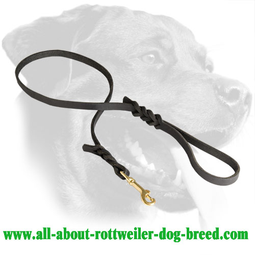 Leather Rottweiler Leash Equipped with Brass Snaphook