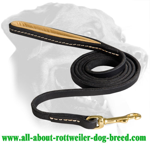 Leather Rottweiler Leash Equipped with Brass Snaphook