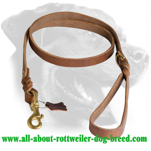 Leather Rottweiler Leash Equipped with Brass Snaphook