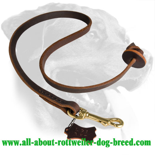 Short Leather Leash for Training Rottweilers