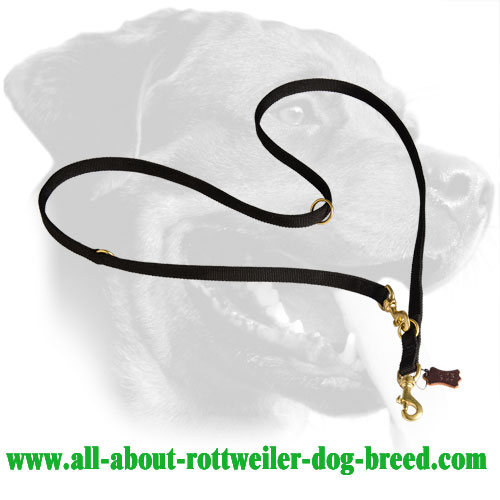 Rottweiler Leash Made of Nylon with Brass Hardware