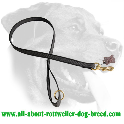 Nylon Rottweiler Leash Equipped with Comfort Grip Handle