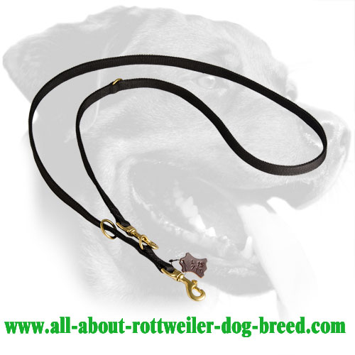 Multifunctional Rottweiler Leash Made of Nylon