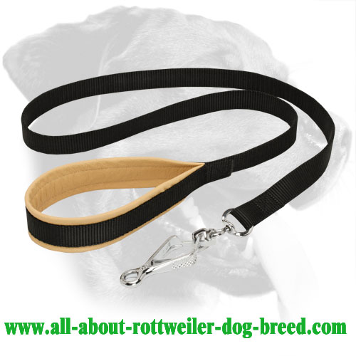 Nylon Rottweiler Leash with Nappa Leather Padded Handle