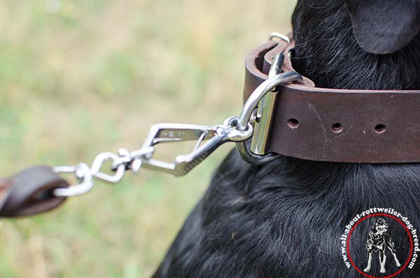 Rottweiler leather leash with braids with nickel plated hardware for safe walking