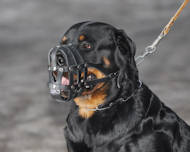 Rottweiler leather dog muzzle - Super Ventilation dog muzzle