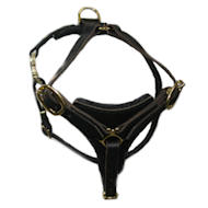 Tracking Leather Harness for Rottweiler