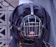 Rottweiler Wire Basket dog muzzle - big muzzle for Rotty Rottweiler Wire Basket dog muzzle - big muzzle for Rotty